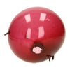 Animaux de ballon à ballon