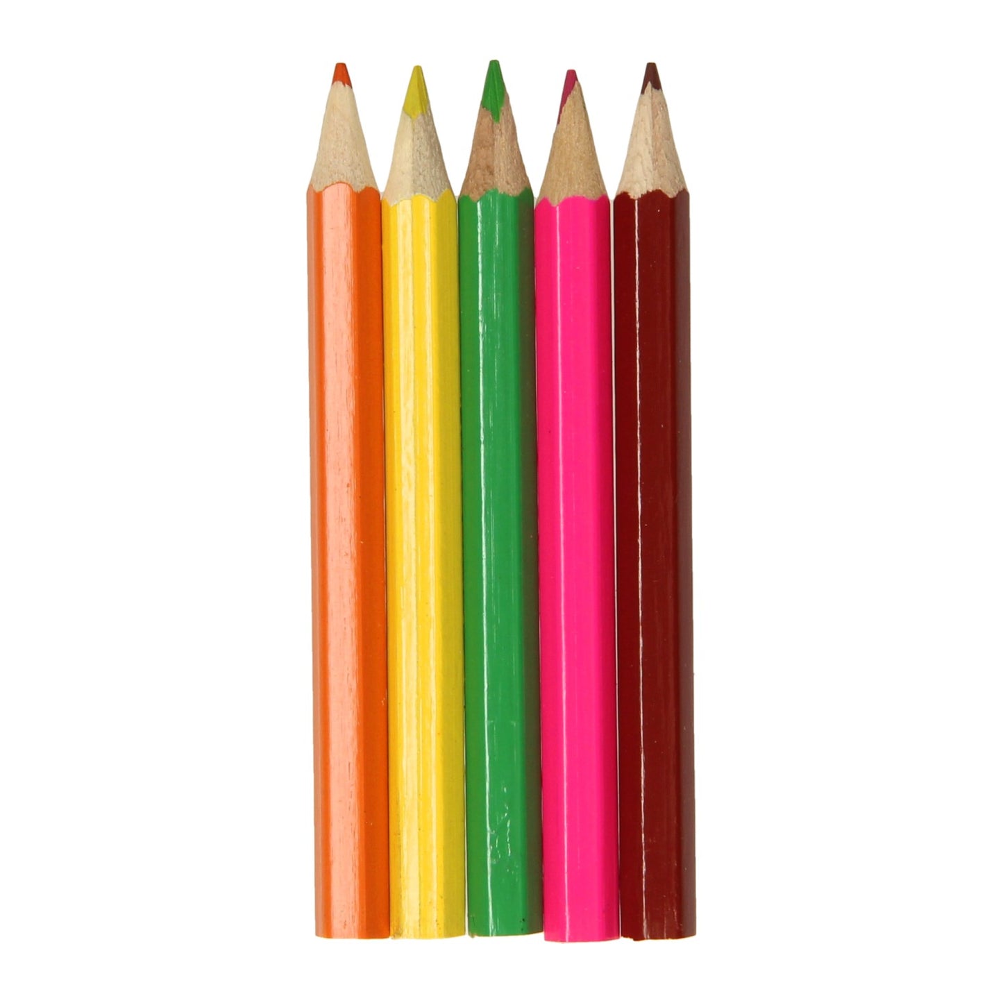 LG importe des crayons colorés animaux sauvages, 6e.