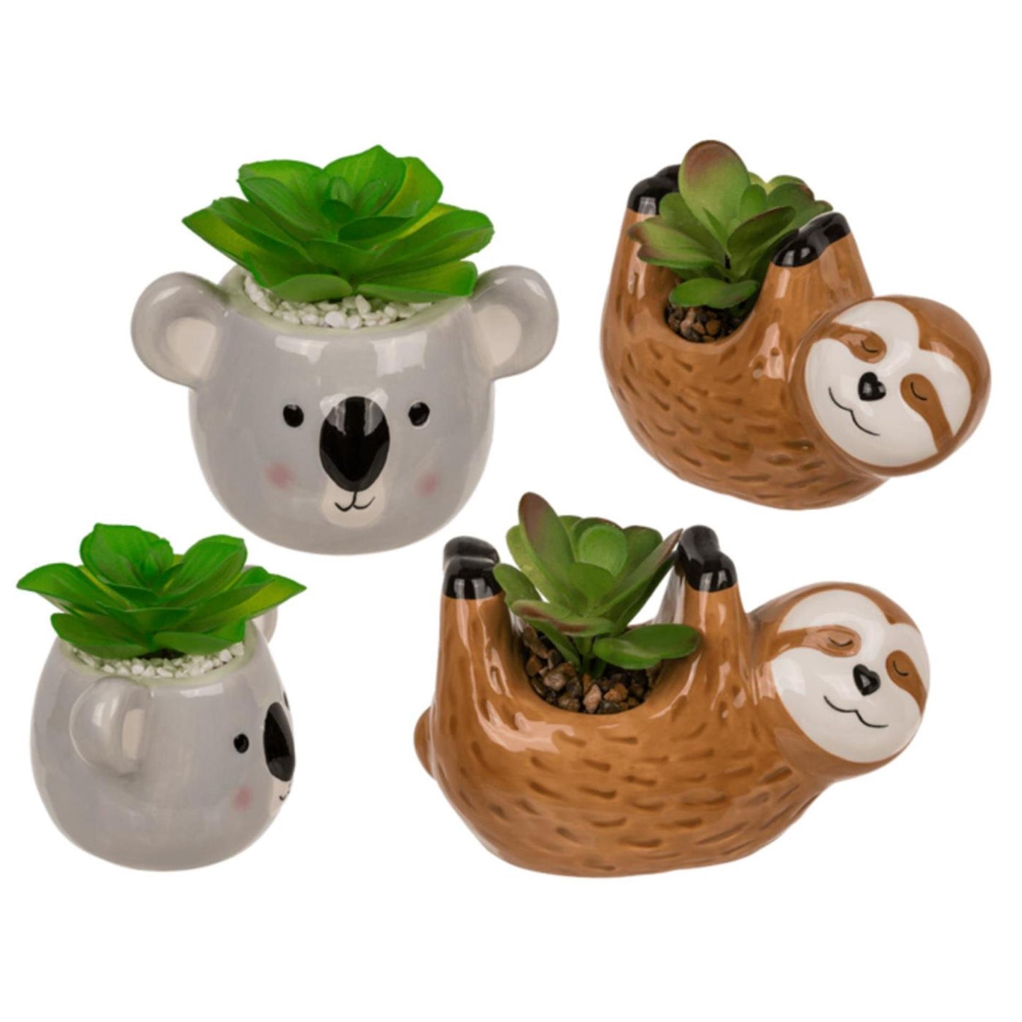 Ootb succulente en pot, paresseux ou koala