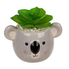 Ootb succulente en pot, paresseux ou koala