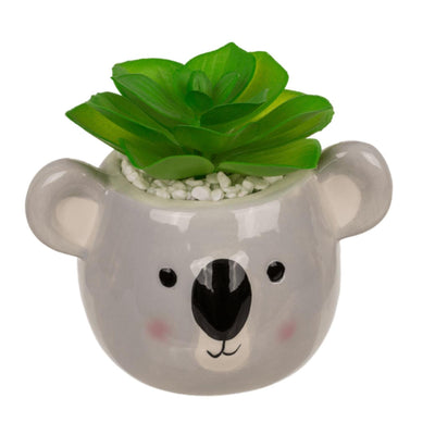 Ootb succulente en pot, paresseux ou koala