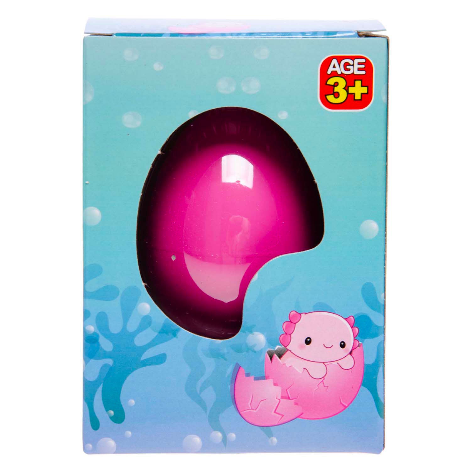 LG IMPORTES COMMENCE Axolotl d'oeufs