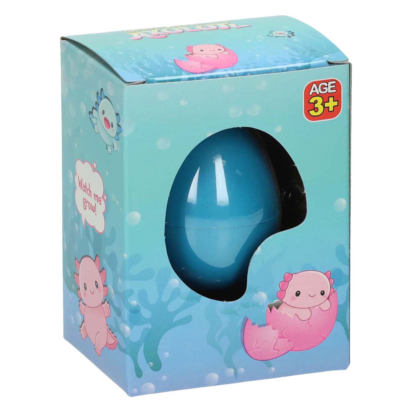 LG IMPORTES COMMENCE Axolotl d'oeufs