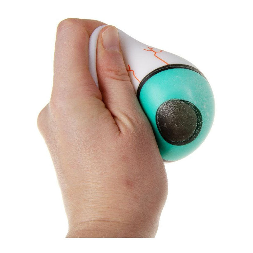 Globe oculaire spongieux - 6 cm