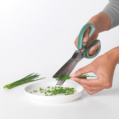 Brabantia brabantia savoureuse + ciseaux d'épices + kam sapin vert