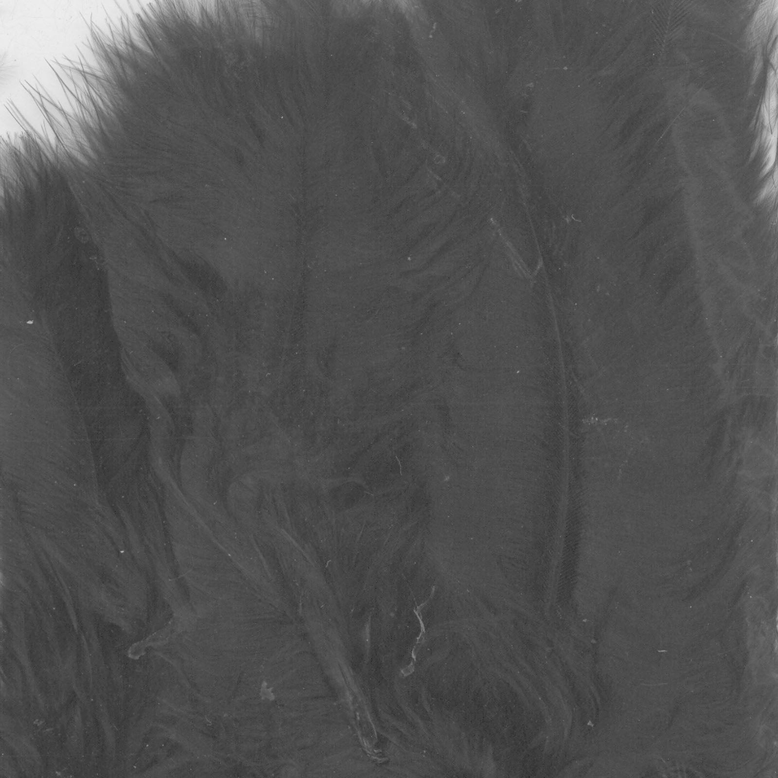 Vaessen creative • plumes de marabout 8,5-12,5cm 15pcs noir