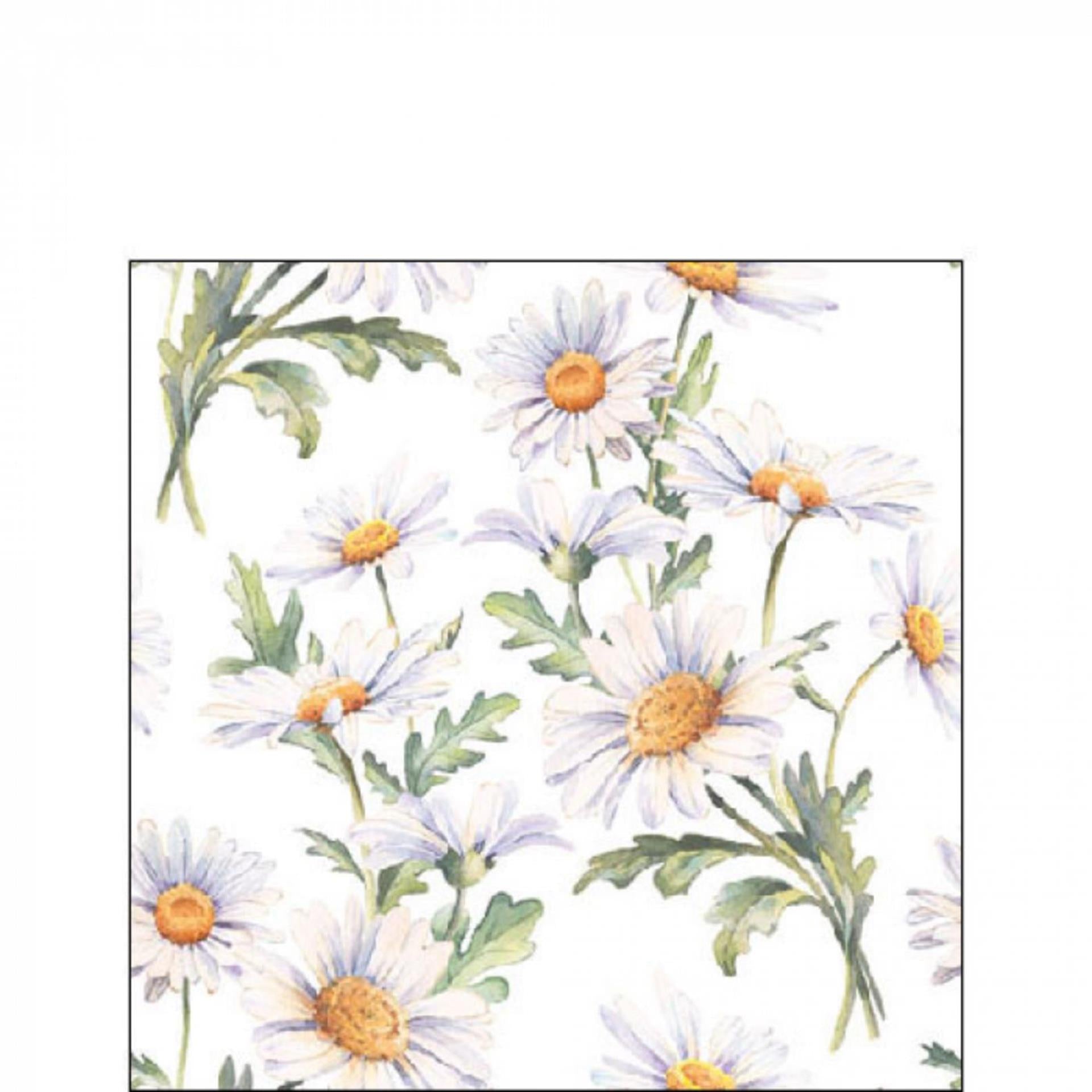Serviette Ambiente belles marguerites 25cm