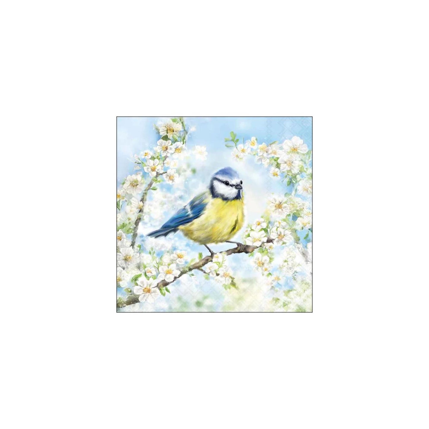 Serviettes Ambiente 25cm temps de floraison