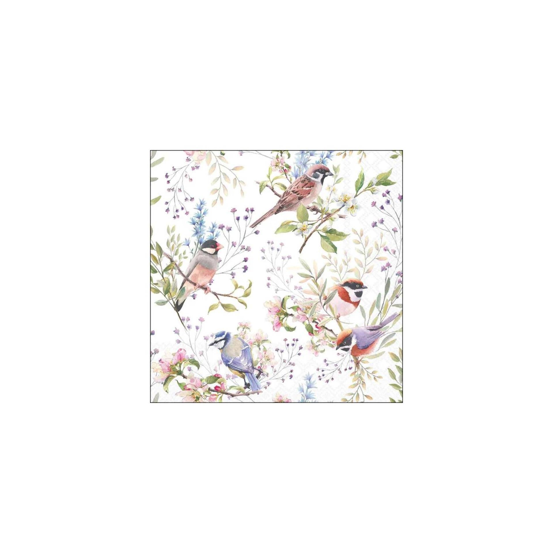 Serviettes Ambiente 33cm oiseaux occupés