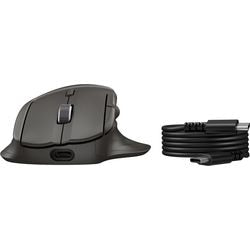 Souris sans fil hp noire 99,7 mm x 123,9 mm x 45,3 mm