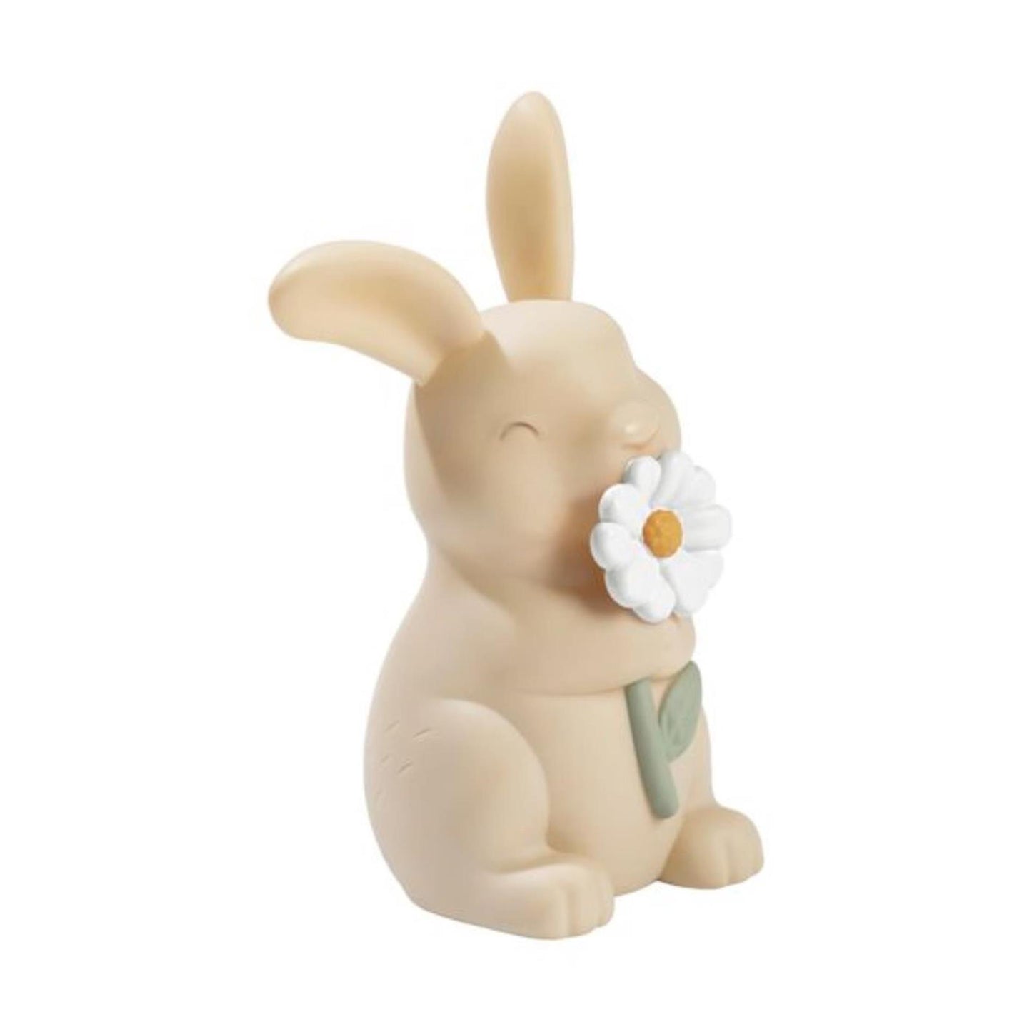 Petit lapin léger de nuit néerlandais