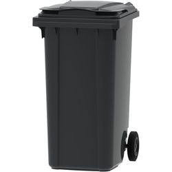 Conteneur à déchets 183640 sans marque 2wh 240l