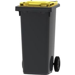 Conteneur à déchets 428872 cl vl sans marque 120l