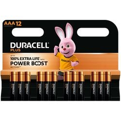 Piles duracell aaa lr03