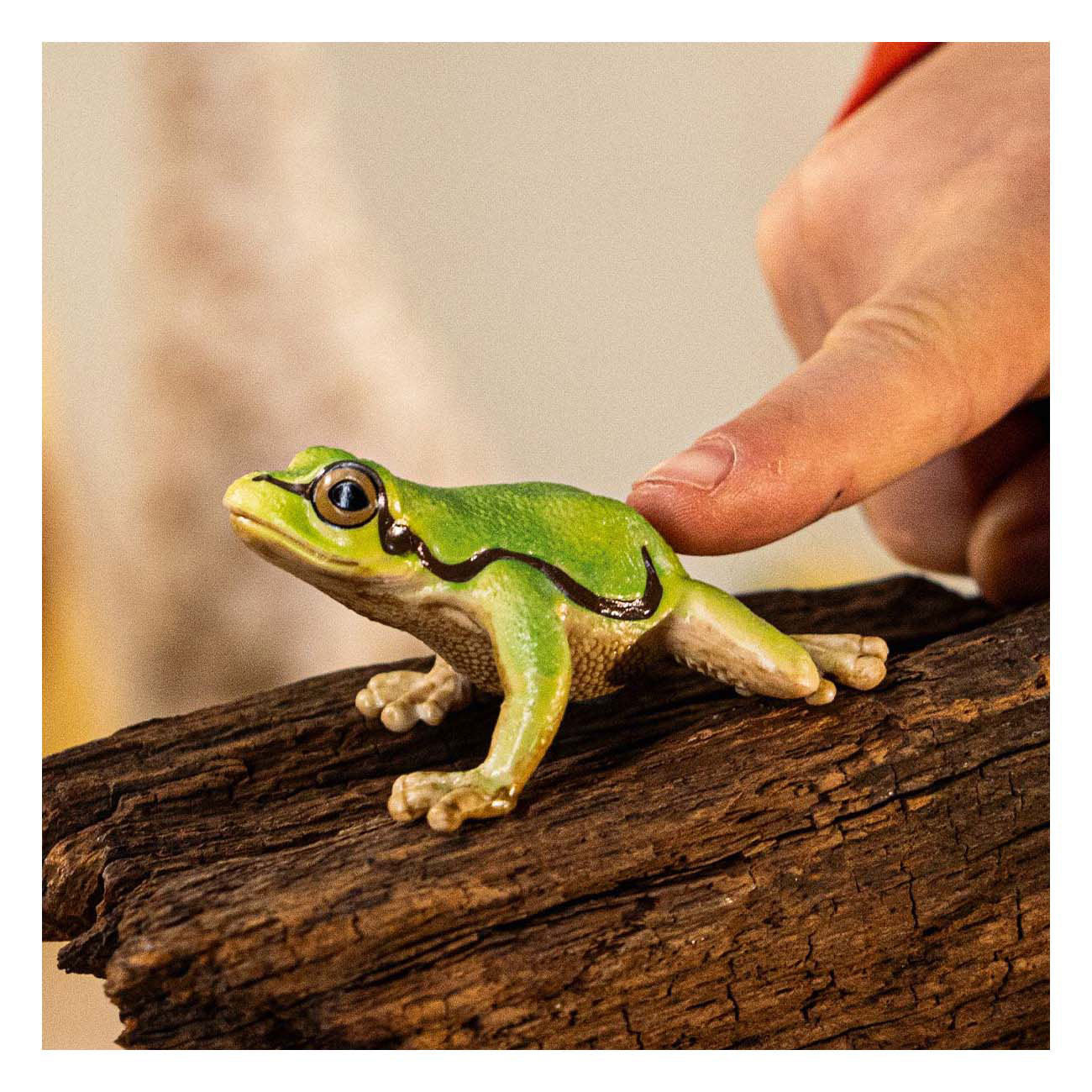 Schleich sauvage vie européenne grenouille arbre 14882