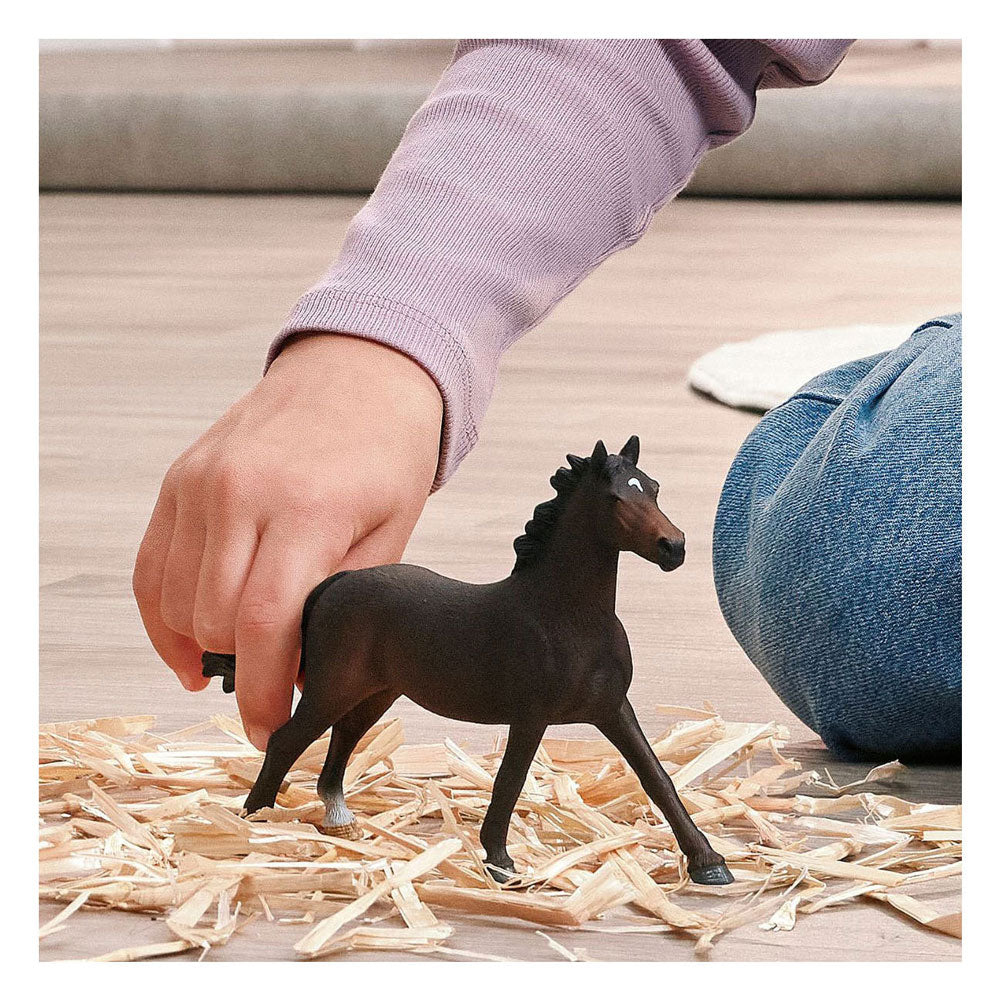 Schleich Horse Club Jument pur-sang anglais 14914