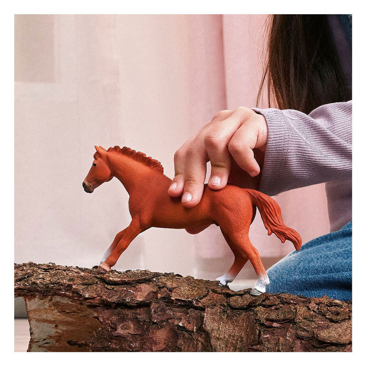 Schleich Horse Club étalon pur-sang anglais 14915