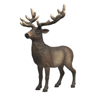 Schleich faune cerf élaphe américain 14992
