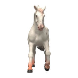Schleich Horse Club knabstupper jument 14917 - afbeelding 2