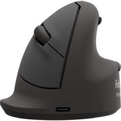 Souris ergonomique Fellowes Breyta noire 110 mm x 93 mm x 79 mm