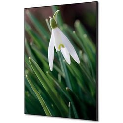 Décoration murale textile showdown tfr22wa2-set-i24 400 x 400 fleur blanche