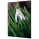 Décoration murale textile showdown tfr22wa2-set-i24 400 x 400 fleur blanche