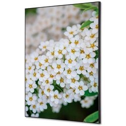 Décoration murale textile showdown tfr22wa2-set-i3 400 x 400 fleur blanche