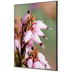 Décoration murale textile showdown tfr22wa2-set-i5 400 x 400 fleur rose