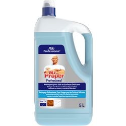 Nettoyant tout usage Mr. Clean Professional 5