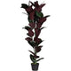 Plante artificielle alimentée par paperflow mesure ficus elastica 120 cm