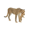 Femme de guépard faunique mojo avec Cub 387167