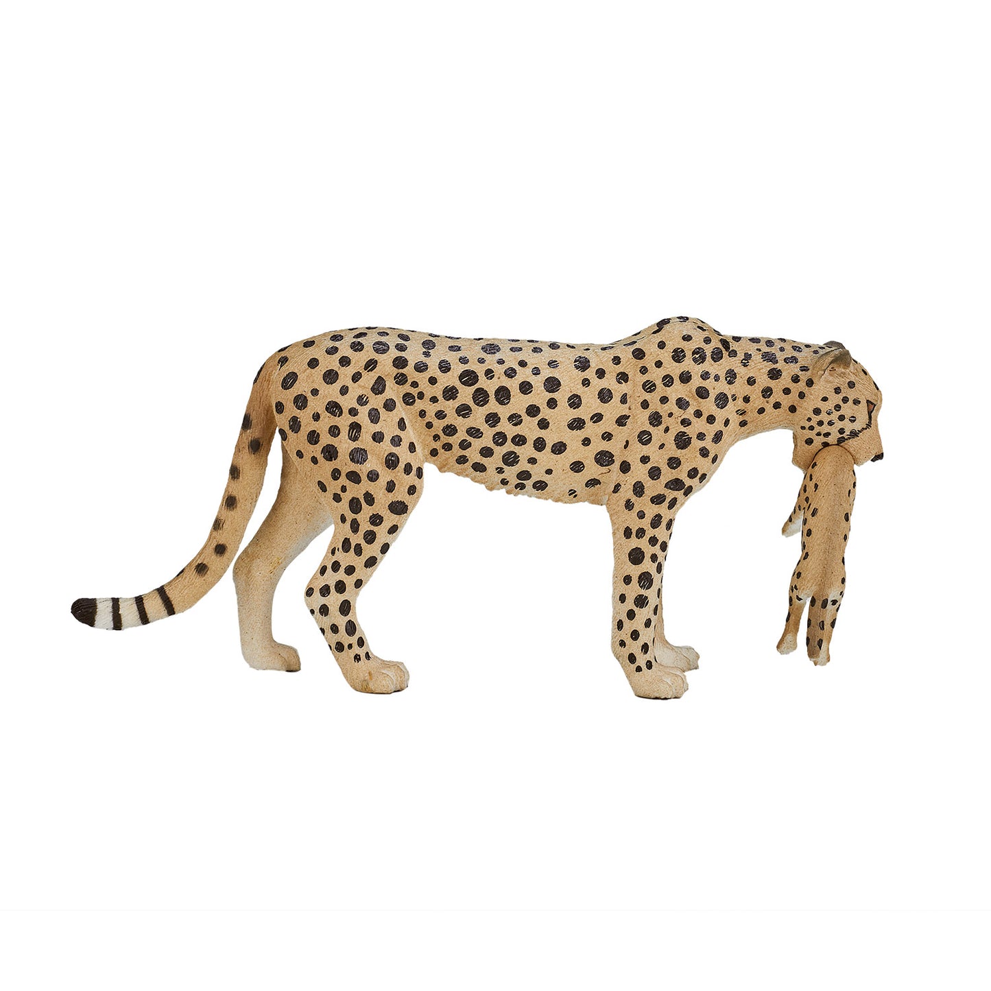 Femme de guépard faunique mojo avec Cub 387167
