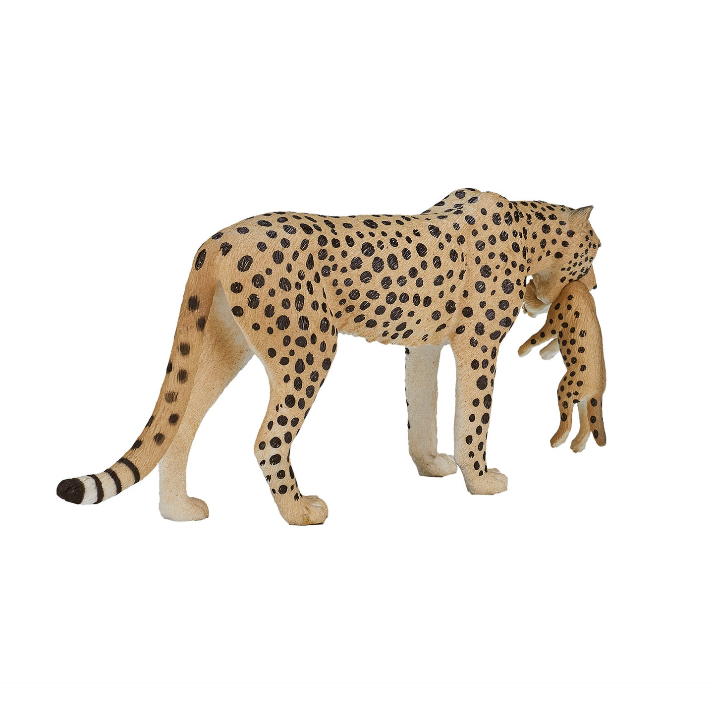 Femme de guépard faunique mojo avec Cub 387167