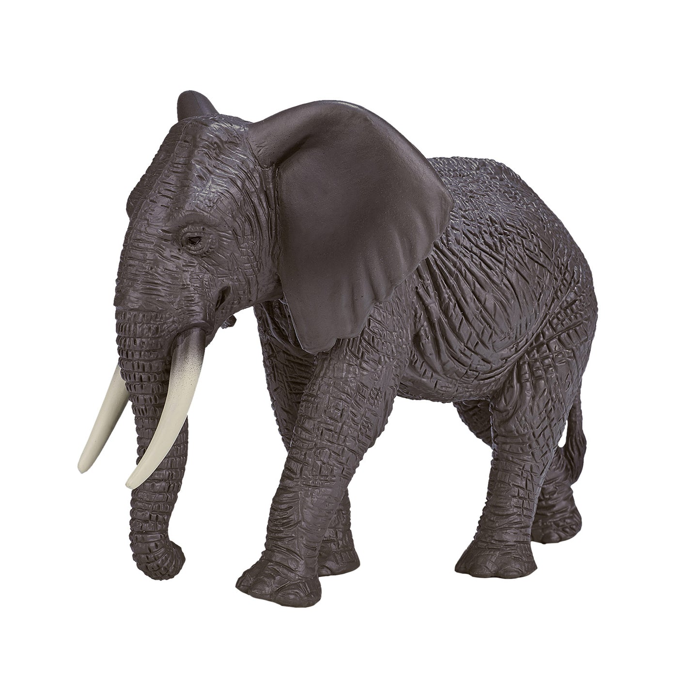 Mojo faune Éléphant africain 387189