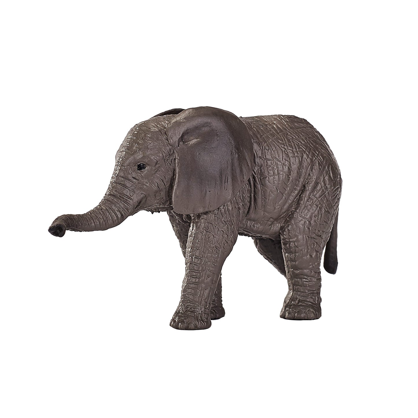 MOJO BILLE COULAGE AFRICAL ELEPHANT 387190