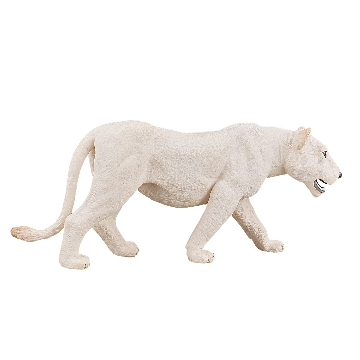MOJO WILDLIFE WITTE LEEUWIN 387207