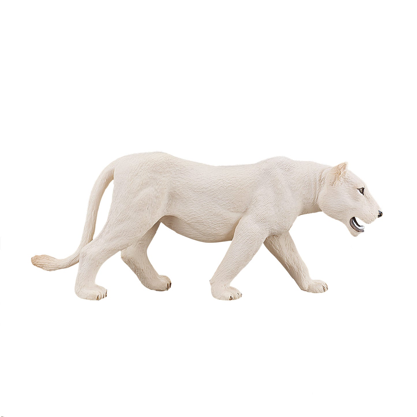 MOJO WILDLIFE WITTE LEEUWIN 387207