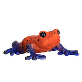 Mojo willife pijl gife boomkikker 381016 - afbeelding 1