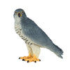 MOJO FALIAGE PEREGRINE FALON 381056