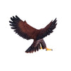 MOJO WILDLIFE STEENAREN 381051