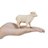 Mojo Farmland Schaap Ooi 387096