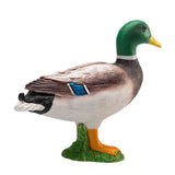 Les terres agricoles Mojo voulaient le canard 387127 - afbeelding 4
