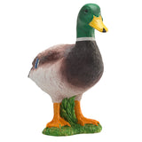 Les terres agricoles Mojo voulaient le canard 387127 - afbeelding 5