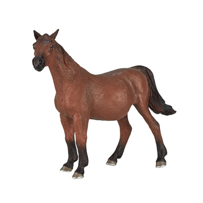 MOJO HORD WORLD Arabic Mare enceinte 387194