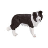 MOJO Farmland Border Collie 387203
