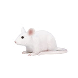 MOJO FARMERS MUIS 387235 - afbeelding 1