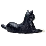 MOJO FARMERS MONTANT CAT NOIR ET BLANC 387367 - afbeelding 4