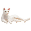MOJO FARMERS ALIMENTS CAT BLANC 387368