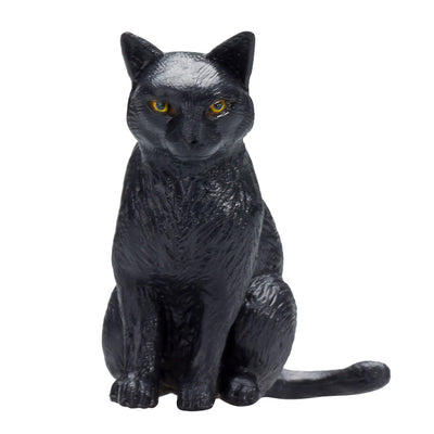MOJO FARMERS ASSIS CAT NOIR 387372