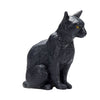 MOJO FARMERS ASSIS CAT NOIR 387372